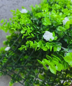 Veštačko zelenilo za zeleni zid eukaliptus 666