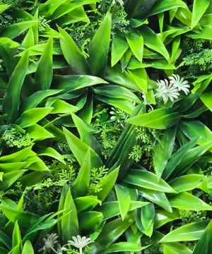 Zeleni Zid Paneli Veštačko Zelenilo 60x40cm Tip5 44