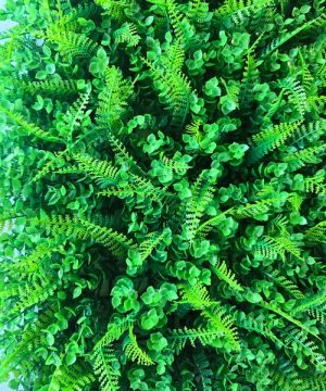 Zeleni Zid Dekorativni Panel Eukaliptus Paprat Mix vestacke biljke 55