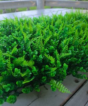 Zeleni Zid Dekorativni Panel Eukaliptus Paprat Mix vetikalni zeleni zid 66