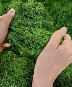 Veštačka Mahovina Za Zeleni Zid 22